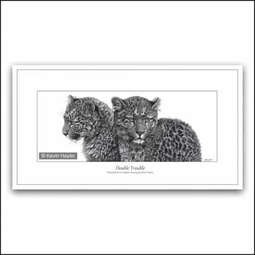 Two leopard cubs pencil drawing