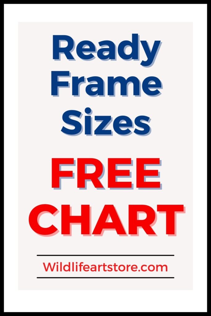 What size art sells best? Frames and Apertures free chart