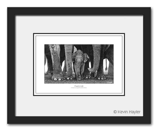 Framed pencil drawing of a family of elephants. Example of a popular art subject