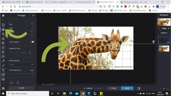 screenshot of pixlr.com demo of how to adjust a grid layer easily