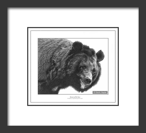 A drawing of a Moon bear drawn at and angle on an easel