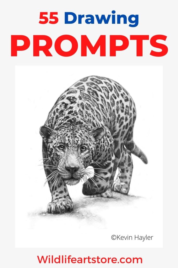 Drawing prompts. 55 Sketching Ideas, Tips, and Advice Drawing of a Jaguar