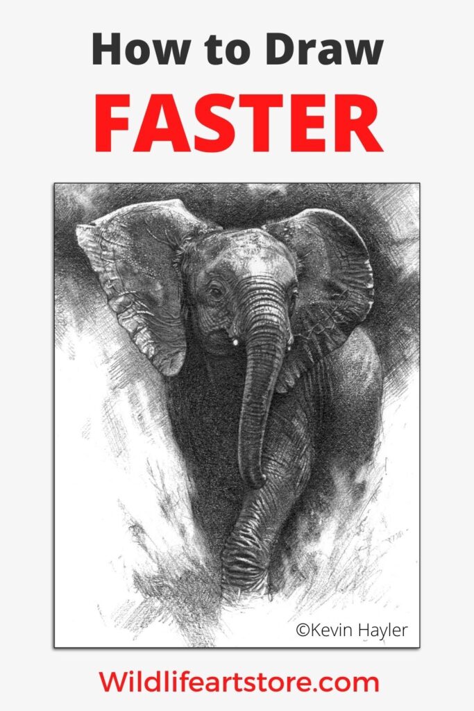 How to draw faster. An elephant sketch
