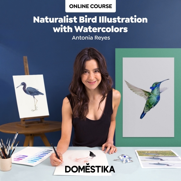 Naturalist bird illustration with watercolors on Domestika
