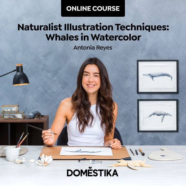 Naturalist illustration techniques: Whales in watercolor on Domestika