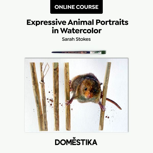 Expressive animal portraits in watercolor