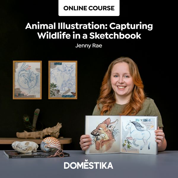 animal illustration . capturing wildlife in a sketchbook