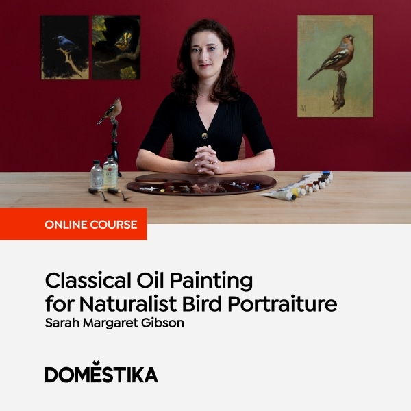 Classical oli painting for naturalist bird portraiture