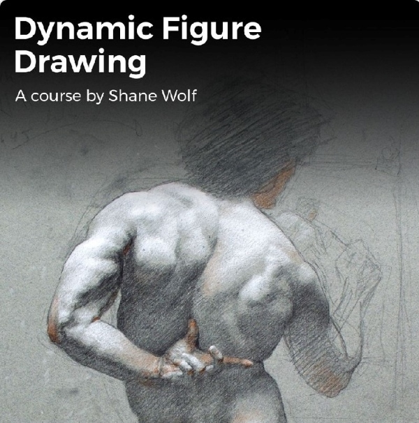 Dynamic figure drawing by Shane Wolf on Domestika
