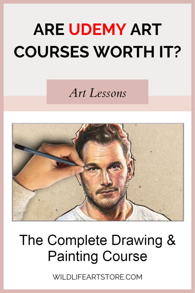Is Udemy worth it.