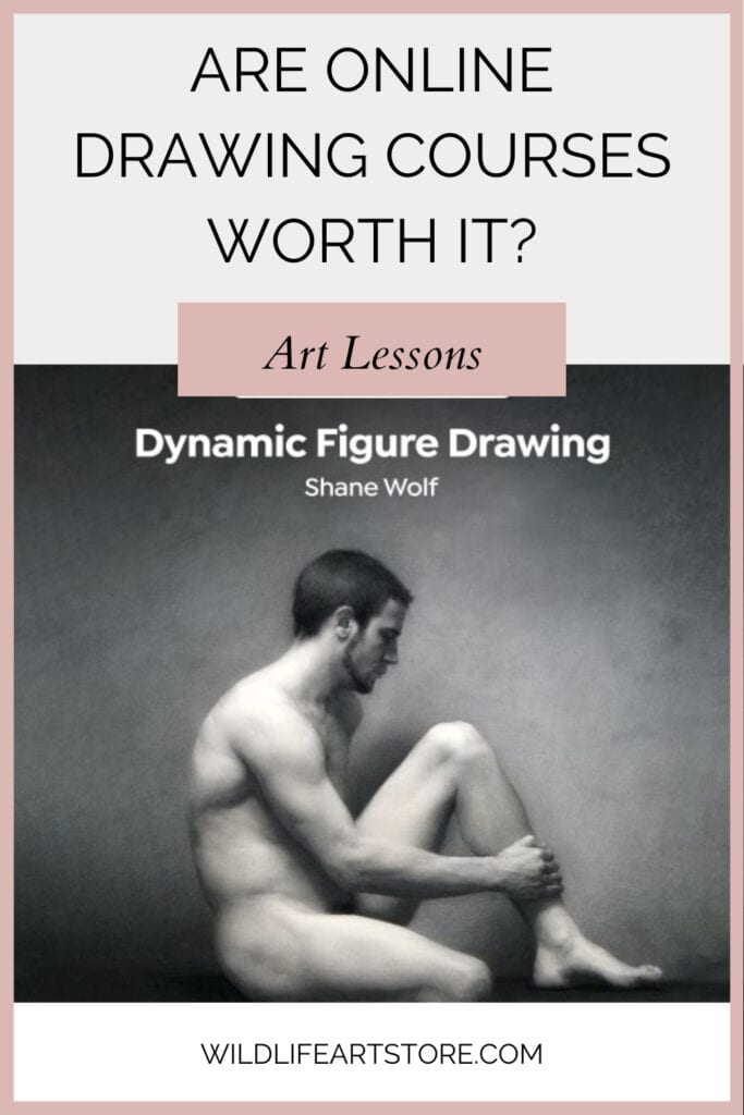 Are Online Drawing Courses Worth it? I Chose 5 of The Best For You! Pinterest pin