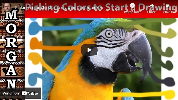 Best Youtube tutorial about picking colors using a photo editor with Jason Morgan 