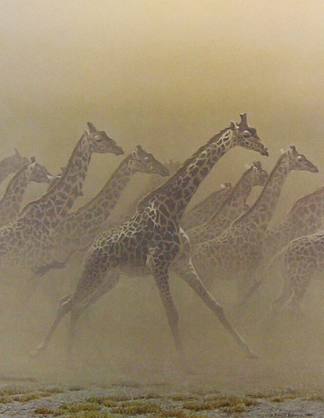 Painting of Giraffes by Robert Bateman