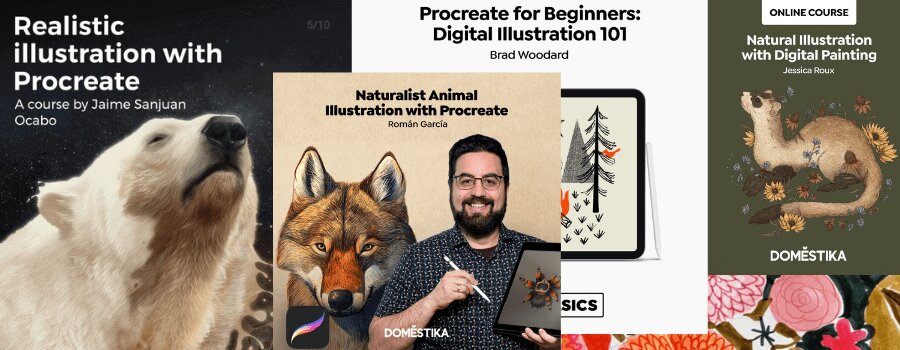 Is The Procreate App Worth it For Beginners? Get the Facts