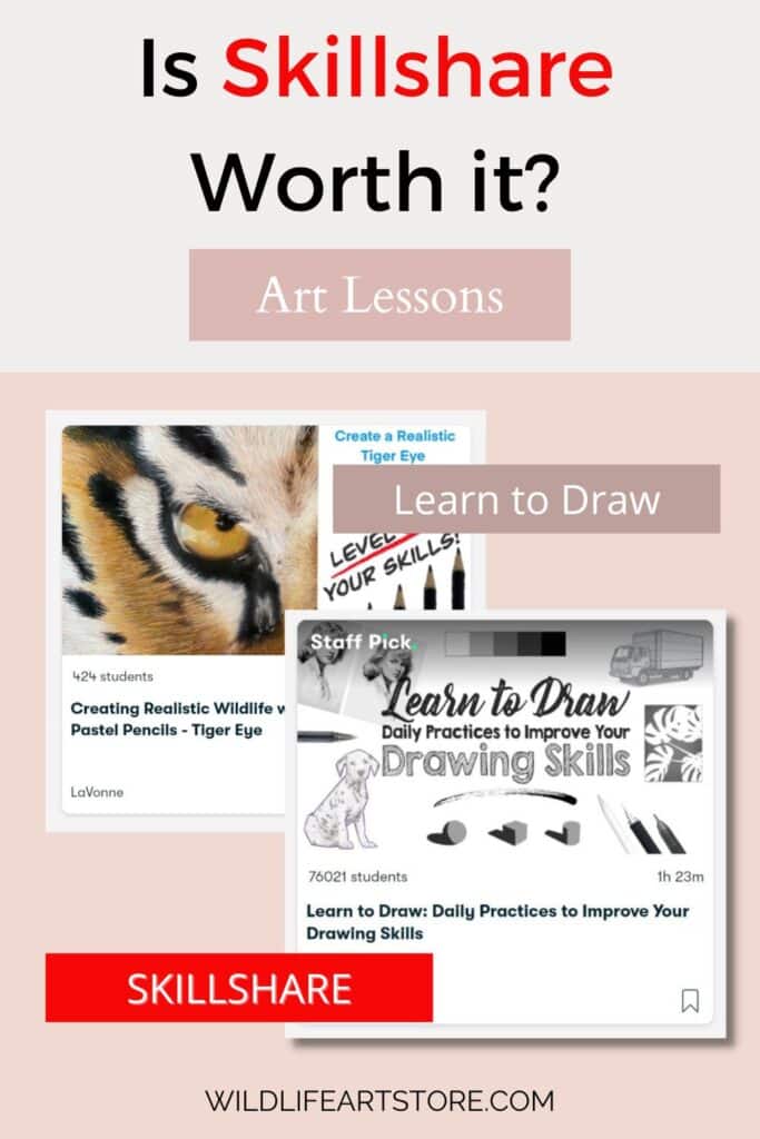 Is Skillshare Worth It The Pros and Cons for Artists and Designers. Pinterest pin