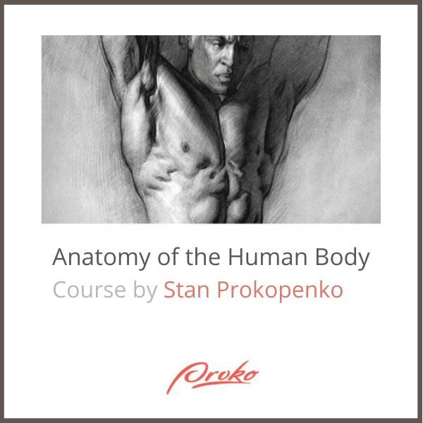 Anatomy of the human body by Stan Proko